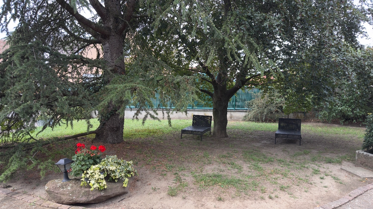 Ampio giardino alberato del Gîte Jebsheim